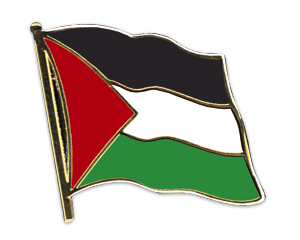 Flaggenpin Palästina
