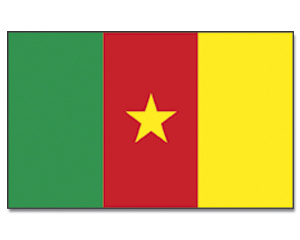 Landesfahne Kamerun