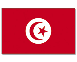 Landesfahne Tunesien